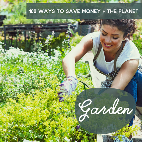 Save money with eco tips in the garden