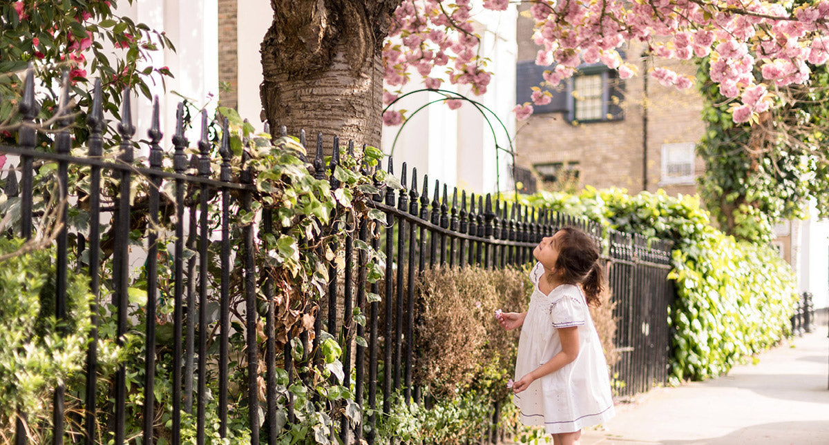 Wandel in de districten van Belgravia en Chelsea