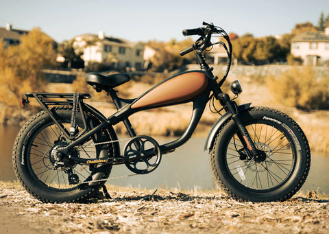 the revi cheetah fat tire electric bike