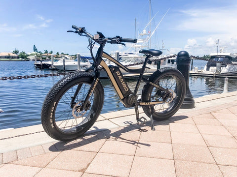 RAMBO| RYDER 750 24" Commuting Fat Tire Electric Bike