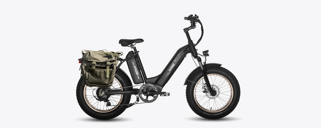 HAOQI |Antelope Pro 750W Cargo Electric Bike-ebikehaul