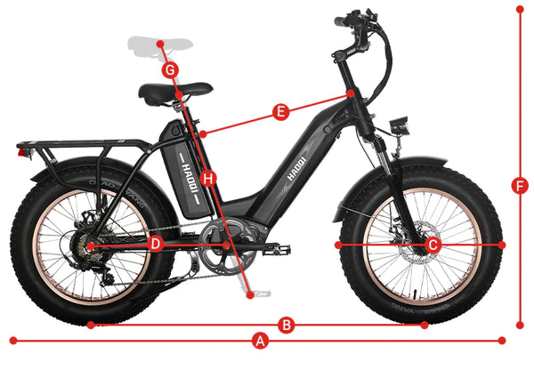 HAOQI |Antelope Pro 750W Cargo Electric Bike-ebikehaul