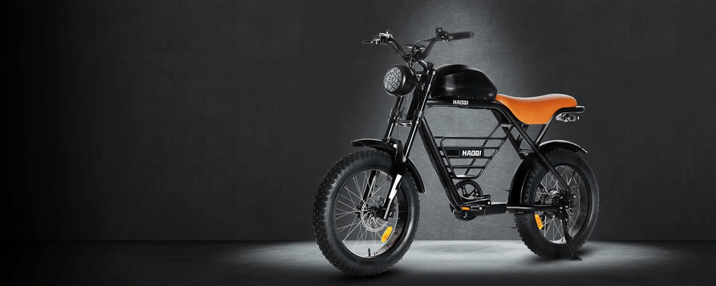 HAOQI |Rhino 48V 1000W Electric Motorbike-ebikehaul