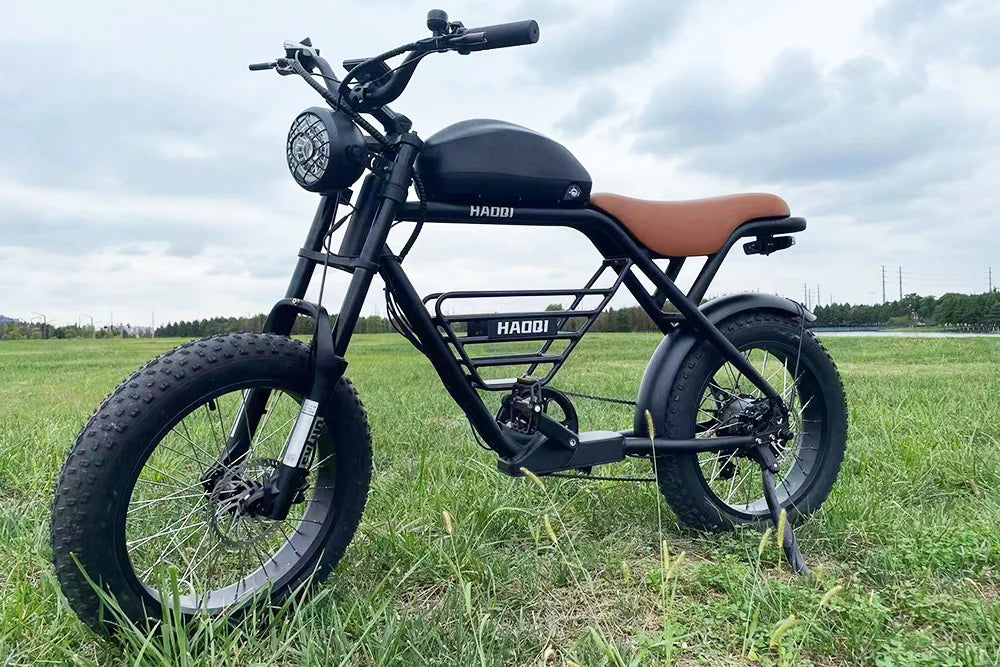 HAOQI |Rhino 48V 1000W Electric Motorbike-ebikehaul