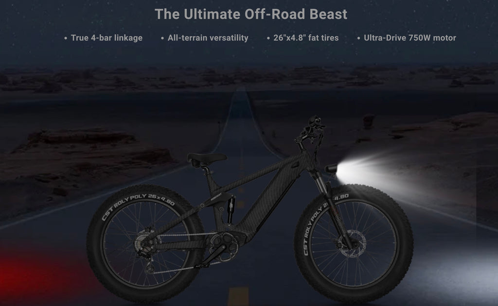 Himiway| Cobra 750W Softail Ultimate off-Road Mountain Electric Bike-ebikehaul