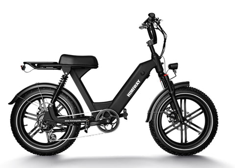 Long Range Moped-Style Electric Bike-ebikehaul