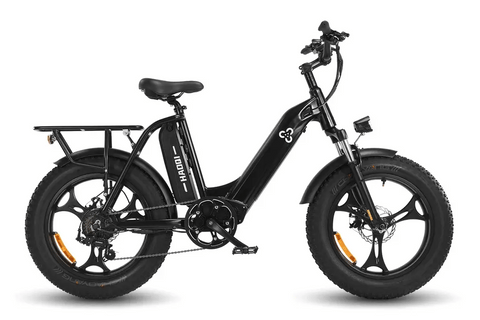 HAOQI |Antelope 500W Cargo Electric Bike-ebikehaul
