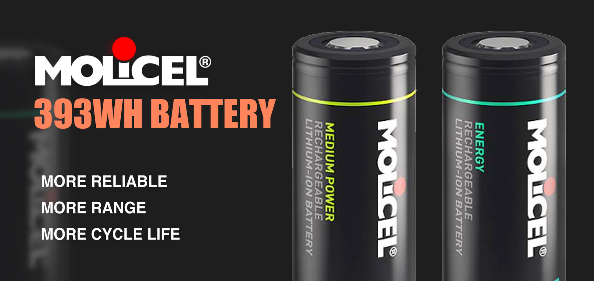 Tynee mini 3 electric skateboard molicel 393Wh battery