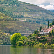 Getting-to-the-Douro-Valley-Unsplash.jpg__PID:d19daf63-701d-4115-afc4-694f8280fb96