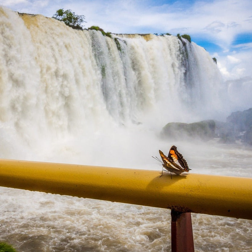 iguazu-2773770_1280.jpg__PID:4d4150fa-c6ae-4ae4-9002-e66c9c6a7b9f