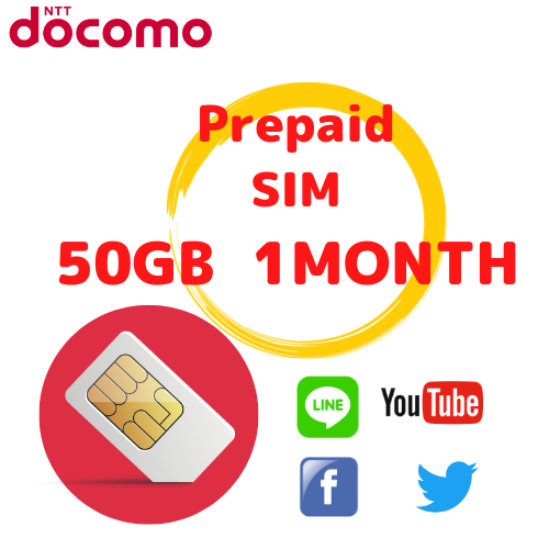 プリペイドSIM データ100GB 6ヶ月 – Espas.com