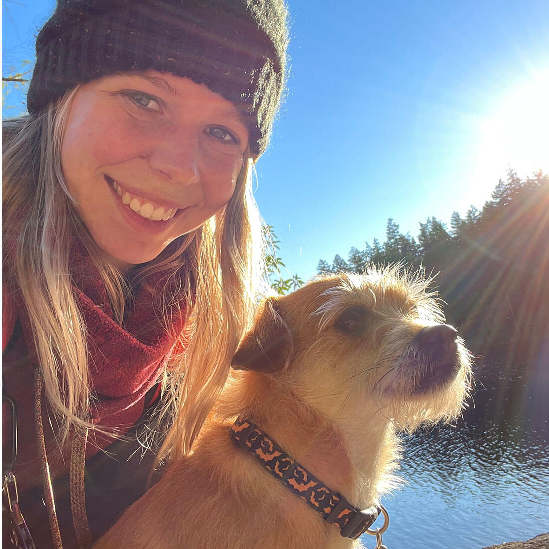 Cheddar the Terrier Mix