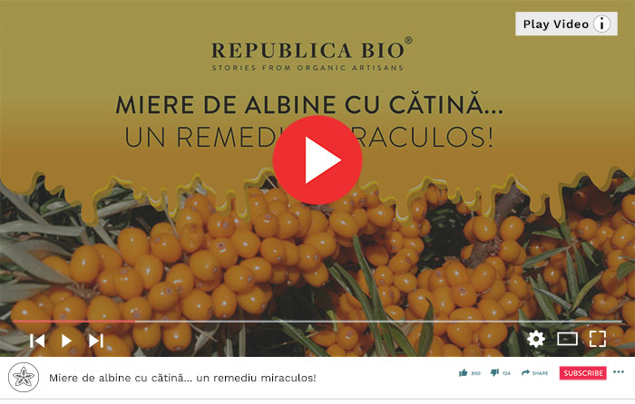 Miere de albine cu catina... un remediu miraculos! - Video Republica BIO