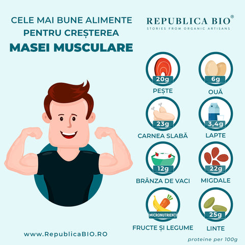 Cele mai bune alimente pentru creșterea masei musculare - Republica BIO