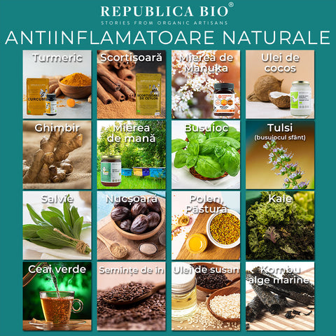 Alimente cu rol puternic antiinflamator - Republica BIO