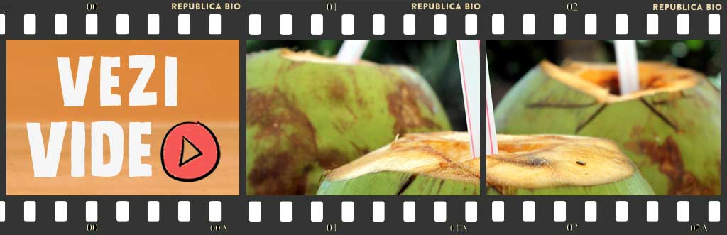 Apa de cocos, proprietati si beneficii - Video Republica BIO