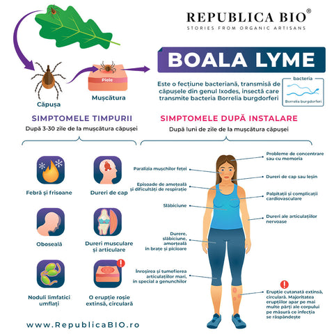 Boala Lyme - simptome - Republica BIO
