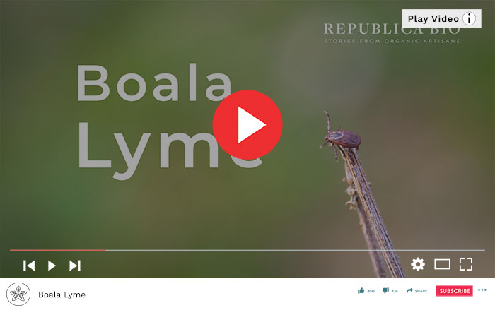 Boala Lyme - simptome