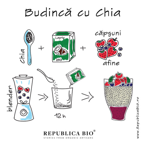 Budincă cu Chia - Republica BIO