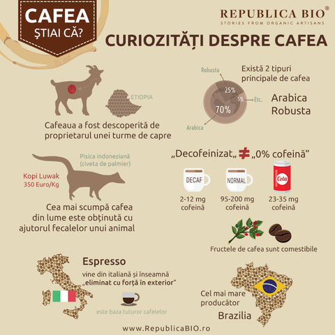 Curiozități despre cafea - Republica BIO