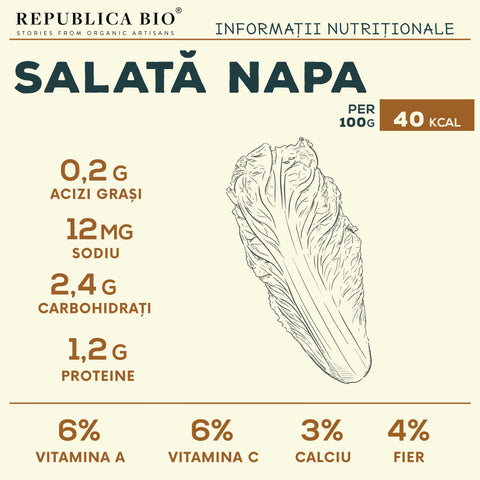 Salată Napa - Republica BIO