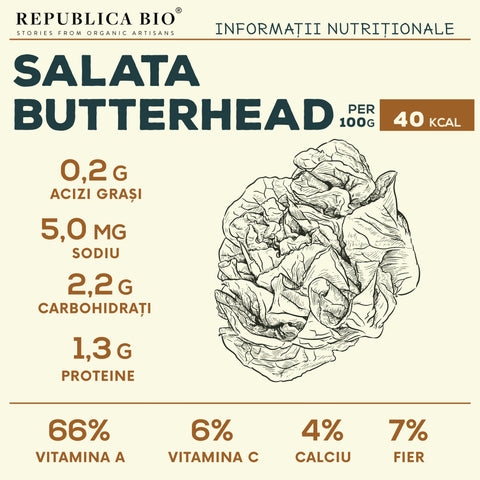 Salată Butterhead - Republica BIO