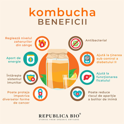 Kombucha - beneficii - Republica BIO