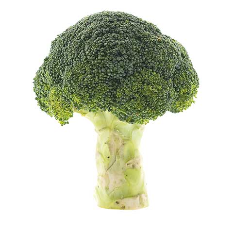 Brocolli