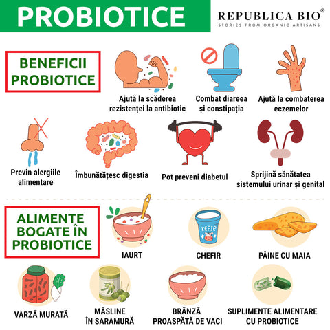 Totul despre probiotice și beneficiile lor asupra organismului - Republica BIO