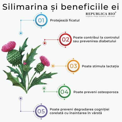 Silimarina și beneficiile ei - Republica BIO