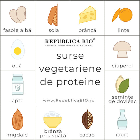 Surse vegetariene de proteine - Republica BIO