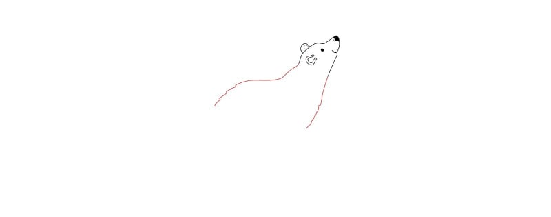 you-must-then-draw-the-body-of-the-bear.