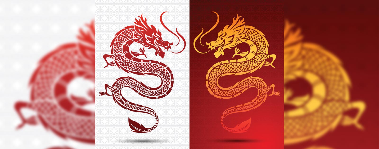 dragon-logo-images-hd