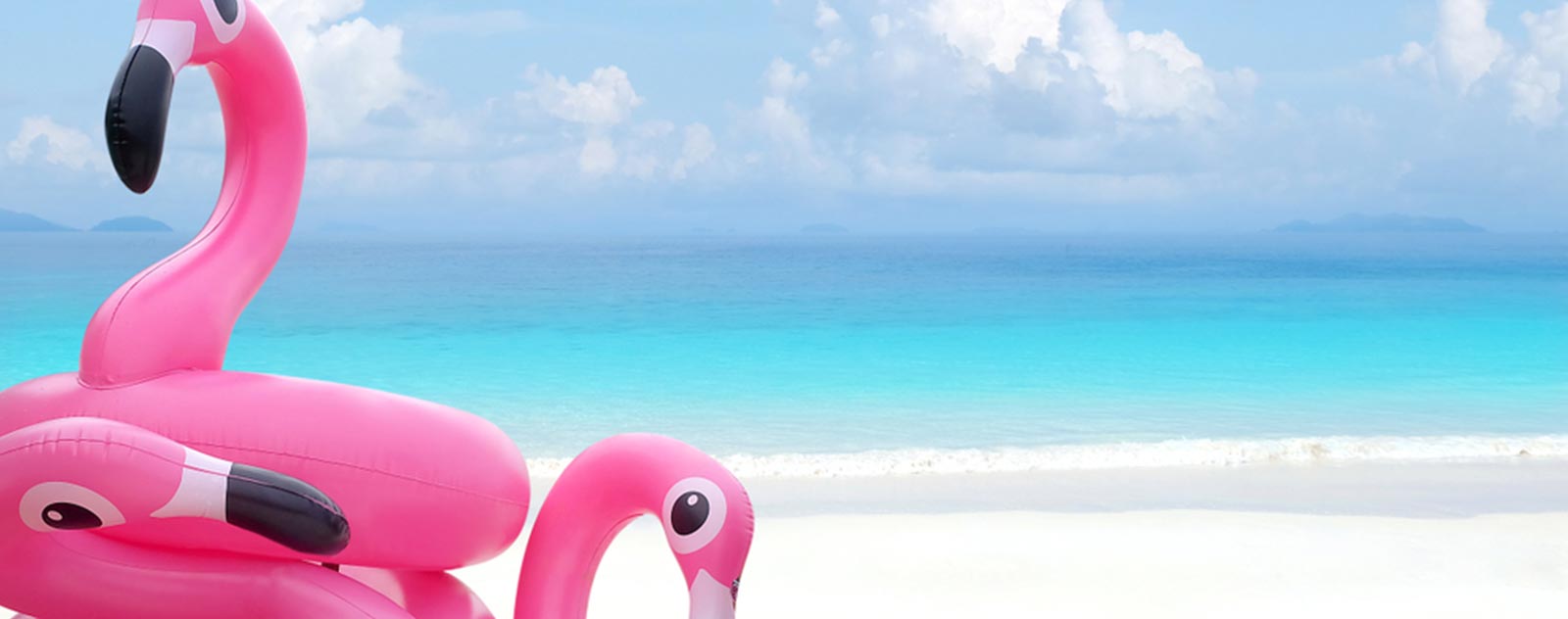 pink-flamingo-buoy-image