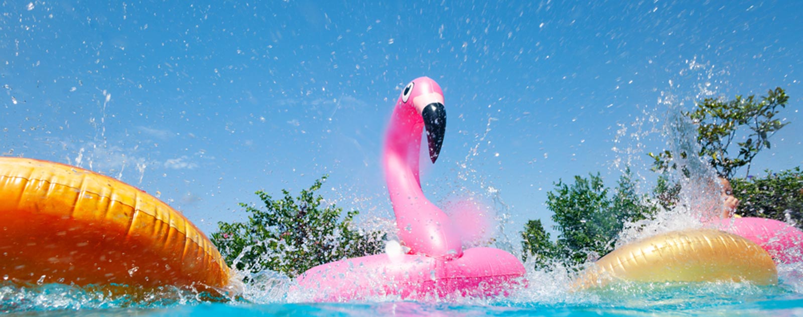 pink-flamingo-buoy