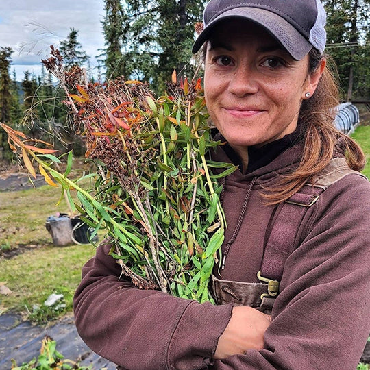 Lauren Blackburn, Queen of the North - Wilderland's Chief Flower Officer