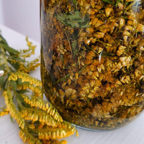 Making Herbal Tincture: Maceration