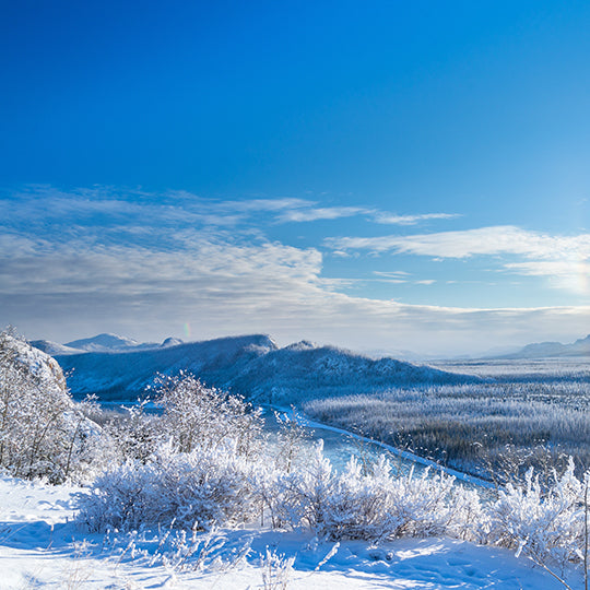 Whitehorse, Yukon Territories, Canada