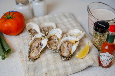 Oyster Recipe Fresh Ingredients