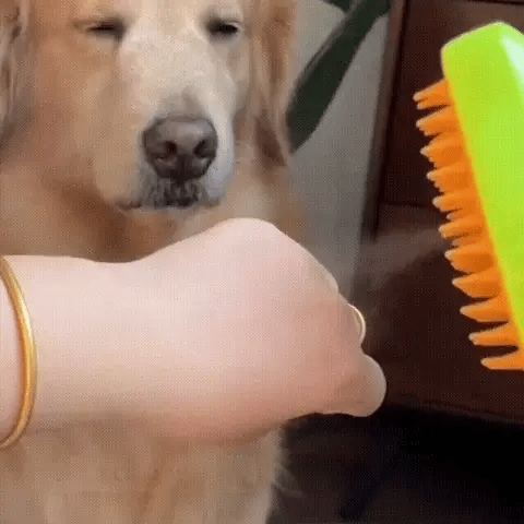 Cozyk™ Rechargeable Steam Pet Brush – marnetic