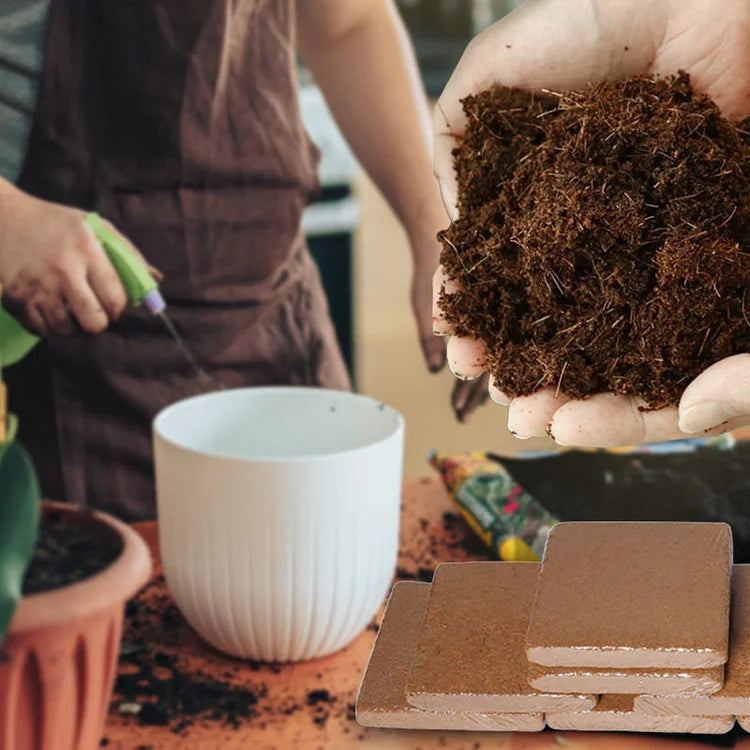 CocoBrick™ - Organic Coconut Coir for Plants – marnetic