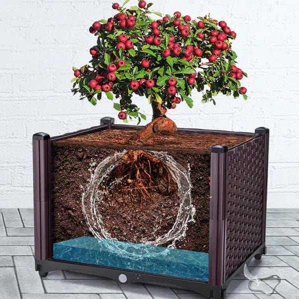 CocoBrick™ - Organic Coconut Coir for Plants – marnetic