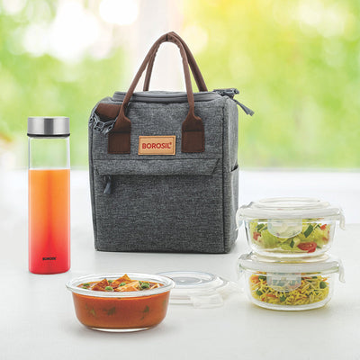 Buy BOROSIL Stellar Daisy Glass Lunch Box Set of 4 with Bag, (2 X 320 ml  SQ, 2 X 240 ml RD) Online at Best Prices in India - JioMart.