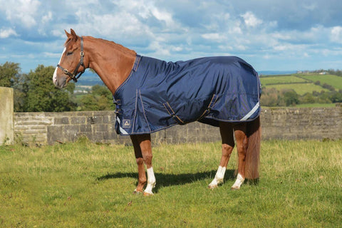 A chestnut horse outdoors in the Mackey Wicklow turnout rug with detachable hood.