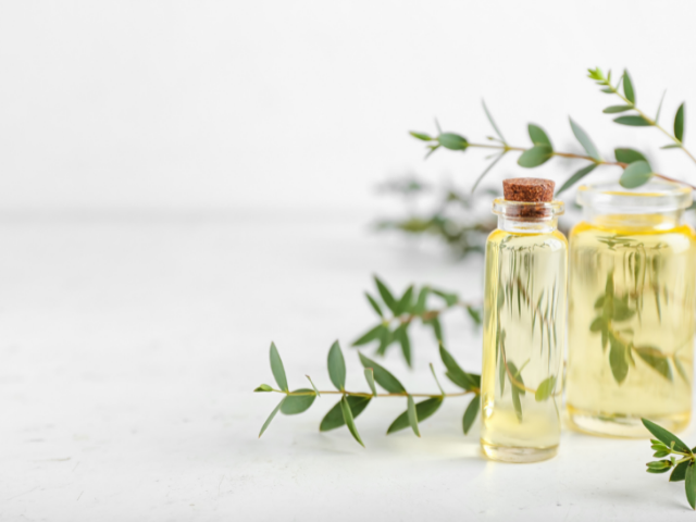 EUCALYPTUS OIL