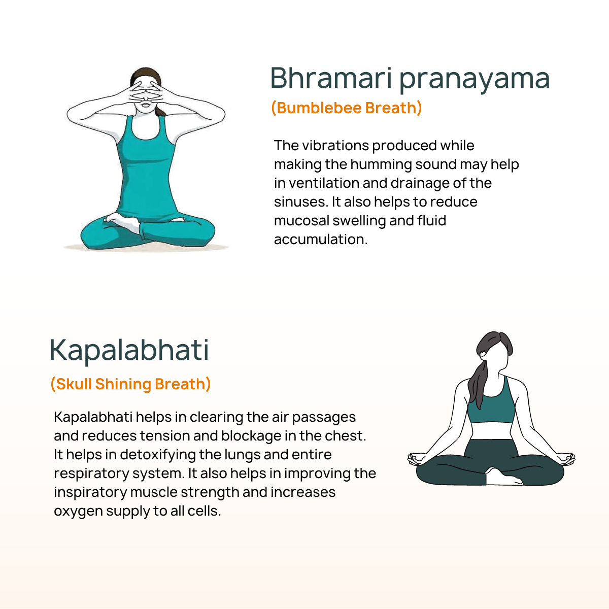 Humming Bee Breath: Bhramari Pranayama Benefits - Ellie Smith Yoga