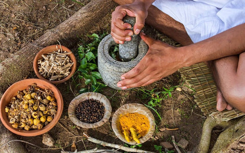 Ayurvedic Herbs