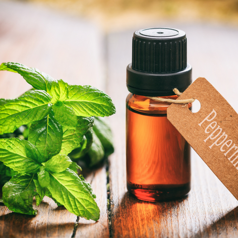 Peppermint oil