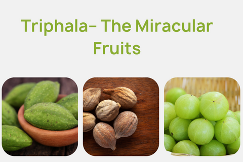 Triphala – The Miracular Fruits
