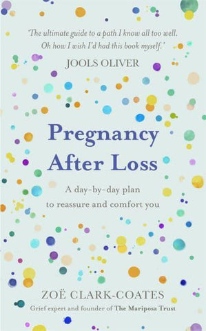 pregnancy after loss zoe book